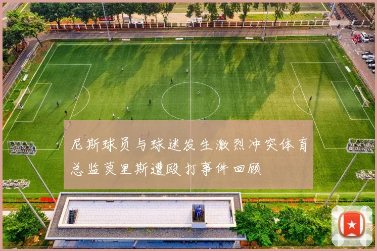 尼斯球员与球迷发生激烈冲突体育总监莫里斯遭殴打事件回顾