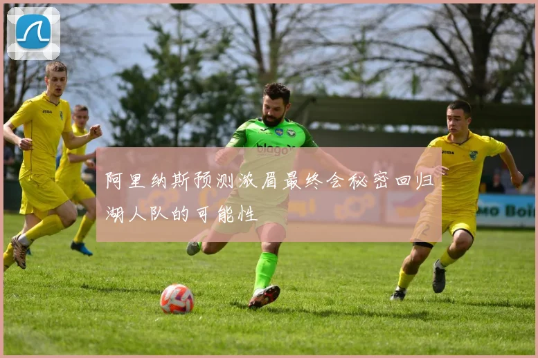 阿里纳斯预测浓眉最终会秘密回归湖人队的可能性